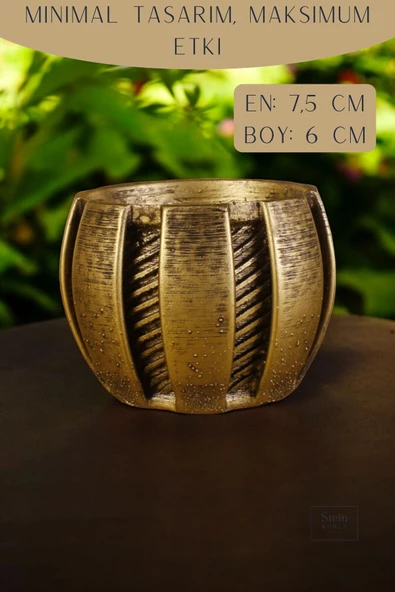 Stein Kohle Dekoratif Saksı Minik Kaktüs Saksısı Altın Eskitme Renk Model 41 - Resim 2