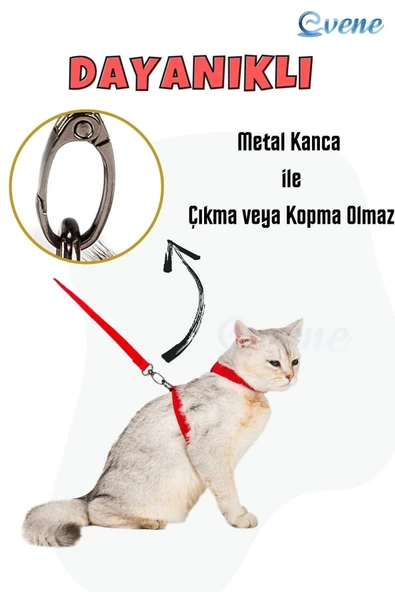 Evene Kedi Tasması Kedi Göğüs Bel Ayarlanabilir Dayanıklı Sağlam Tasma Kırmızı - Resim 2