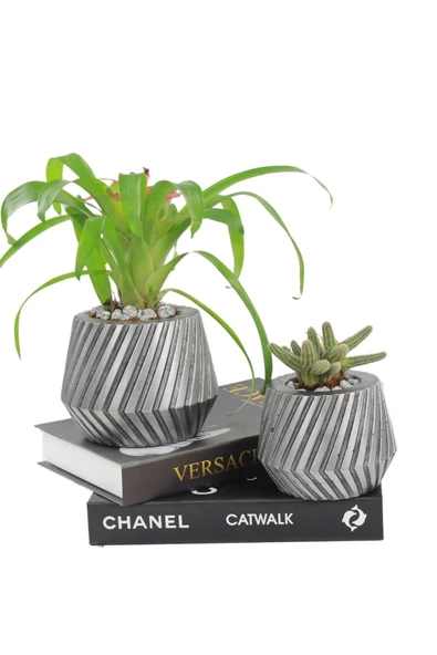 Stein Kohle Çiçek Saksısı Büyük Boy 2 Adet Gümüş Renk Eskitme Uygulamalı Dişli Model ürün görseli 1