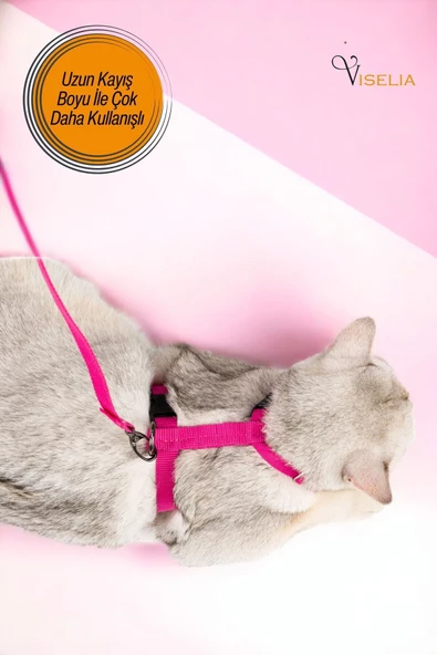 Viselia Kedi Tasması Boyun Göğüs Ayarlanabilir Sevk Kayışlı Gezdirme Seti - 4