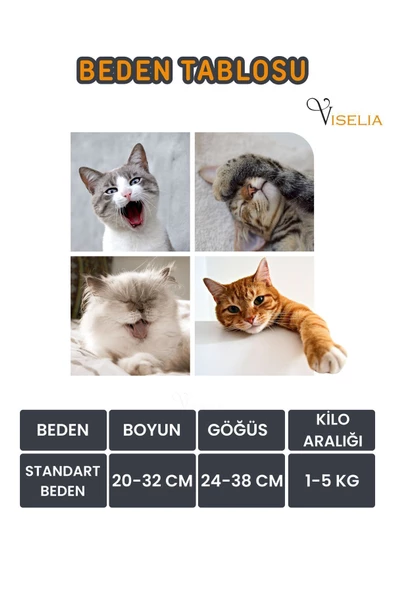 Viselia Kedi Tasması Boyun Göğüs Ayarlanabilir Sevk Kayışlı Gezdirme Seti - 7