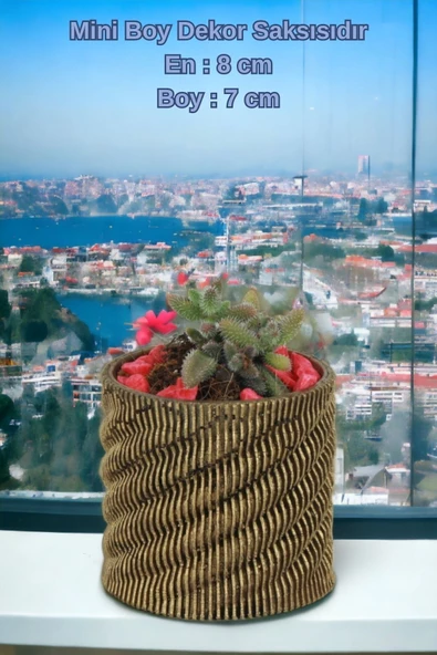 Kaktüs Saksı Dünyası El Yapımı Saksı Altın Eskitme Dekoratif Saksı Küçük Boy Model 39 - Resim 2