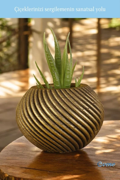 Evene Mini Çiçek Saksı Küçük Sukulent Altın Eskitme Kaktüs Saksısı Ince Çizgili Spiral Model - Resim 3