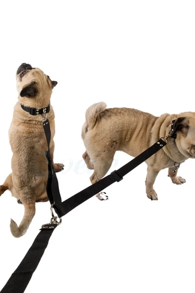 Evene Kedi Gezdirme Tasması Kedi Gezdirme Ipi Çiftli Tasma Model 9 Siyah ürün görseli