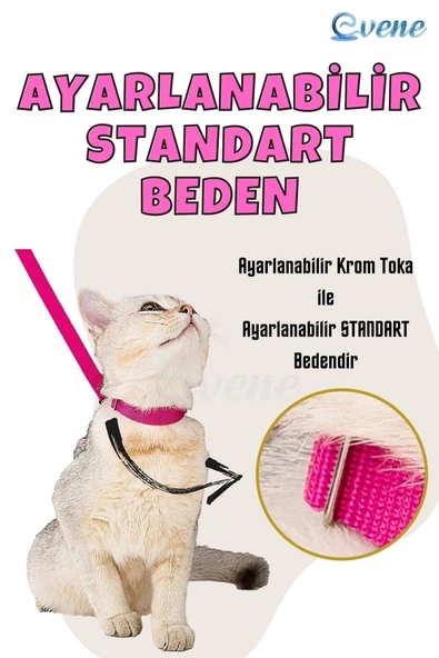 Evene Kedi Tasması Kedi Gögüs Bel Ayarlanabilir Tasma Pembe - Resim 6