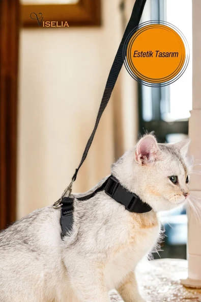 Viselia Kedi Tasması Boyun Göğüs Ayarlanabilir Sevk Kayışlı Gezdirme Seti - Resim 2