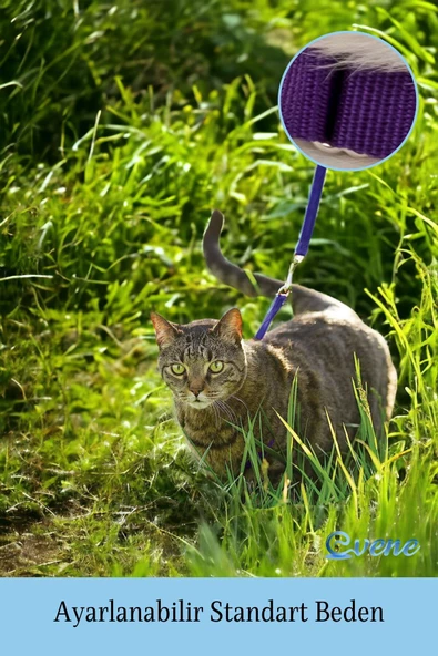 Evene Kedi Tasması Kedi Göğüs Bel Ayarlanabilir Dayanıklı Sağlam Tasma 1 cm İnce Kolon Mor - 6