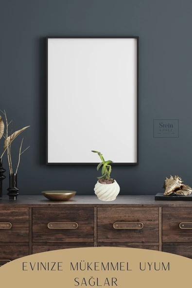 Stein Kohle Dekoratif Saksı Minik Kaktüs Saksısı Beyaz Renk 1 Adet Kalın Çizgili Spiral Model - Resim 5