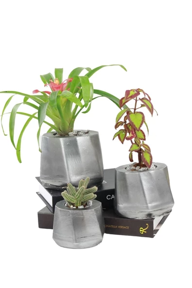 Stein Kohle Çiçek Saksısı Büyük Boy 3 Adet Gümüş Renk Eskitme Uygulamalı Kalın Çizgi Model ürün görseli 1