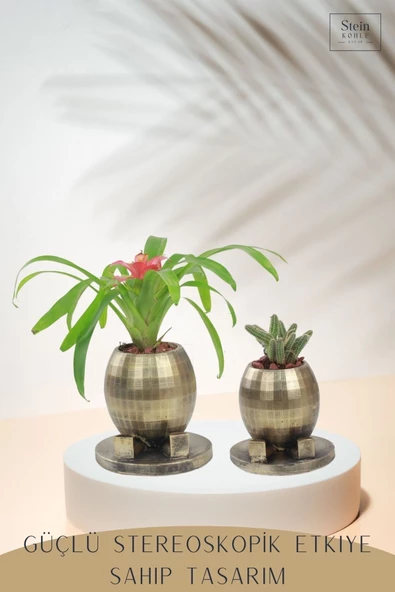 Stein Kohle Çiçek Saksısı Büyük Boy 2 Adet Altın Renk Eskitme Uygulamalı Ayaklı Yuvarlak Model - Resim 4