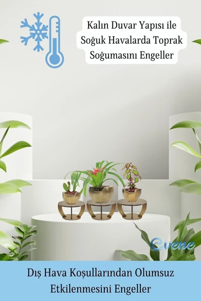 Evene Ahşap Ayaklı Beton Saksı Büyük Boy Set 3 Adet Altın Eskitme Varak Boyalı Eskitmeli Önü Açık Model - Resim 7