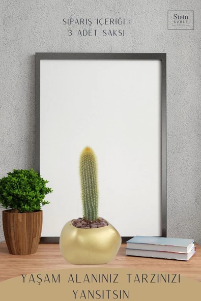 Stein Kohle Çiçek Saksısı Büyük Boy 3 Adet Altın Renk Uygulamalı Spiral Oval Model - Resim 4