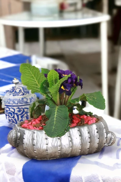 Kaktüs Saksı Dünyası El Yapımı Saksı Gümüş Eskitme Premium Kalite Dekoratif Saksı Model 3 ürün görseli 1