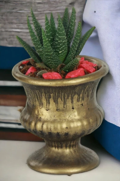 Kaktüs Saksı Dünyası El Yapımı Saksı Altın Eskitme Dekoratif Saksı Küçük Boy Model 33 ürün görseli 1