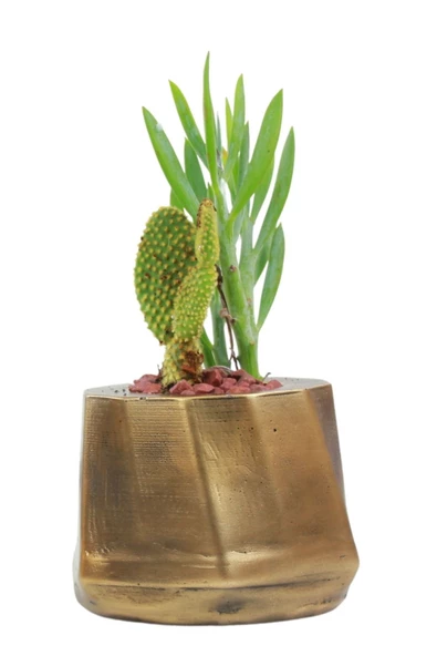 Stein Kohle Çiçek Saksısı Dekoratif Kaktüs Saksı 1 Adet Altın Renk Eskitme Uygulamalı Kalın Çizgili Model ürün görseli 1