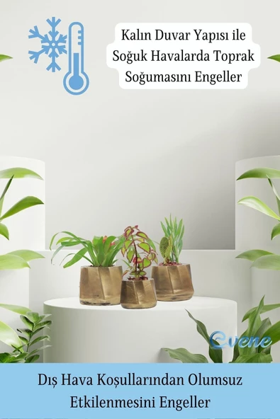 Evene Saksı Çiçek Kaktüs Saksısı Lüx 15 Cm Altın Eskitme Varak Boyalı Kalın Çizgi Desen 3'lü Set Çiçeklik - Resim 7