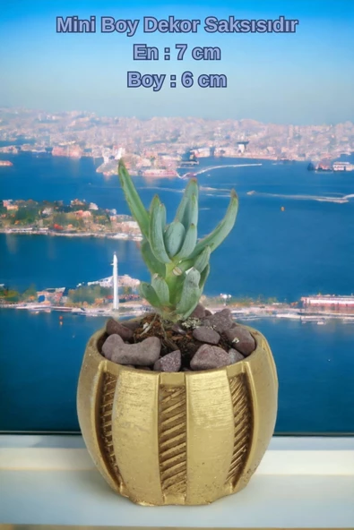 Kaktüs Saksı Dünyası El Yapımı Saksı Altın Dekoratif Saksı Küçük Boy Model 41 - Resim 2