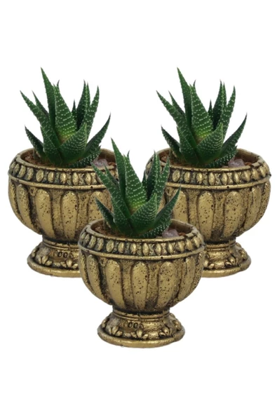 Stein Kohle Dekoratif Saksı Minik Kaktüs Saksısı Altın Eskitme Renk 3 Adet Saksı Seti Antika Model ürün görseli 1