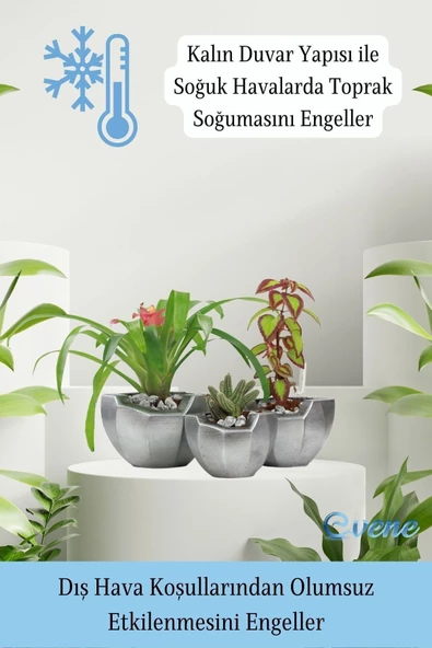 Evene Saksı Çiçek Kaktüs Saksısı Lüx 15 Cm Gümüş Eskitme Varak Boyalı Önü Açık Desenli 3'lü Set Çiçeklik - 7