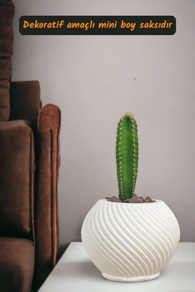 Viselia Kaktüs Saksısı Sukulent El Yapımı Saksı Balkon Çiçek Saksısı Ev Saksısı Saksı Model 1 Beyaz - Resim 2