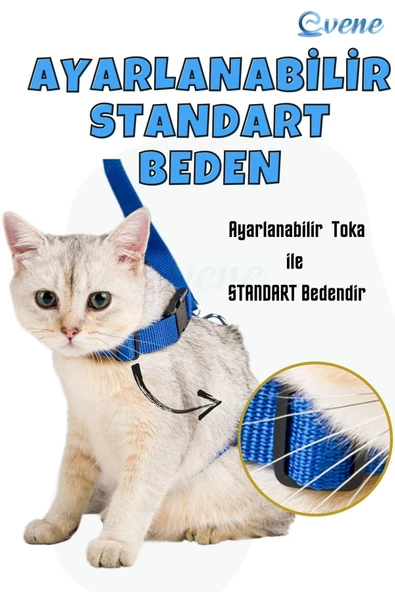Evene Kedi Tasması Kedi Gögüs Bel Ayarlanabilir Tasma Mavi - 7