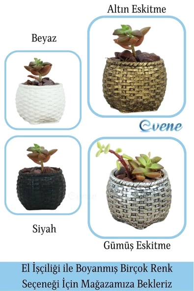 Evene Mini Çiçek Saksı Küçük Sukulent Altın Eskitme Kaktüs Saksısı Sepet Örgü Saksı Model - Resim 7