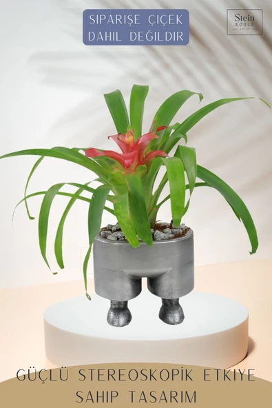 Stein Kohle Çiçek Saksısı Dekoratif Kaktüs Saksı 1 Adet Gümüş Renk Eskitme Uygulamalı Pantolon Model - 4