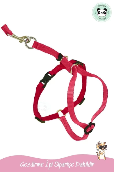 Pandogo Kedi Gezdirme Tasması Sevk Kayışlı Kırmızı - Resim 4