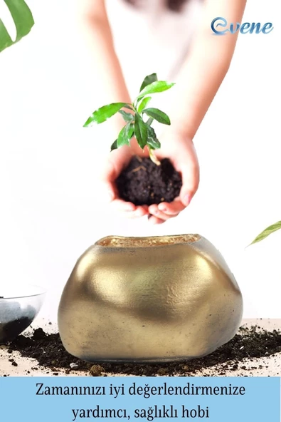 Evene Ahşap Ayaklı Beton Saksı Büyük Boy Set 3 Adet Altın Varak Boyalı Eskitmeli Spiral Oval Model - Resim 4