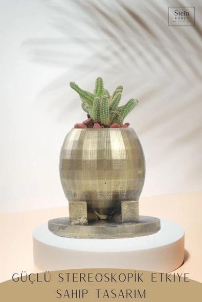 Stein Kohle Çiçek Saksısı Büyük Boy 1 Adet Altın Renk Eskitme Uygulamalı Ayaklı Yuvarlak Model - Resim 4