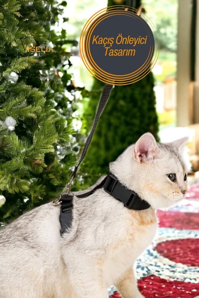Viselia Kedi Tasması Boyun Göğüs Ayarlanabilir Sevk Kayışlı Gezdirme Seti - Resim 5