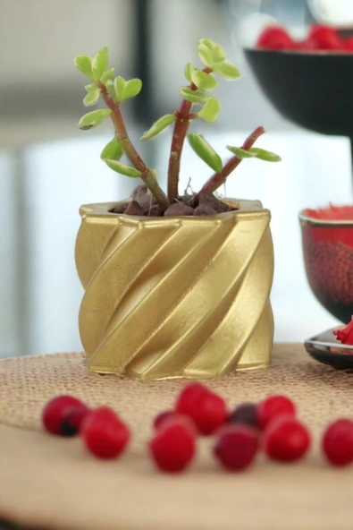 Viselia Kaktüs Saksısı Sukulent El Yapımı Saksı Balkon Çiçek Saksısı Ev Saksısı Saksı Model 9 Altın - Resim 6