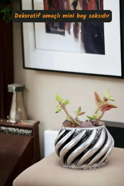 Viselia Kaktüs Saksısı Sukulent El Yapımı Saksı Balkon Çiçek Saksısı Ev Saksısı Saksı Model 4 Gümüş - Resim 2