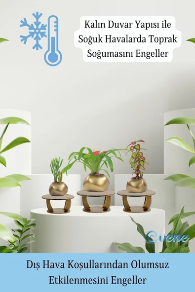 Evene Ahşap Ayaklı Beton Saksı Büyük Boy Set 3 Adet Altın Varak Boyalı Eskitmeli Spiral Oval Model - Resim 7