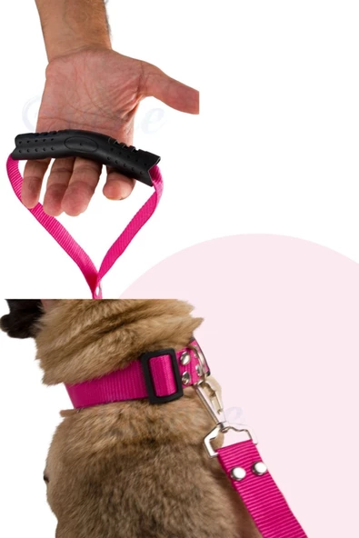 Evene Köpek Tasması Köpek Gezdirme Ayarlanabilir Boyun Tasması Pembe - 2