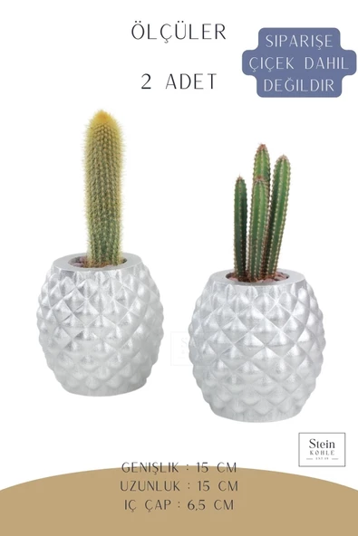 Stein Kohle Çiçek Saksısı Büyük Boy 2 Adet Gümüş Renk Uygulamalı Ananas Model - Resim 2