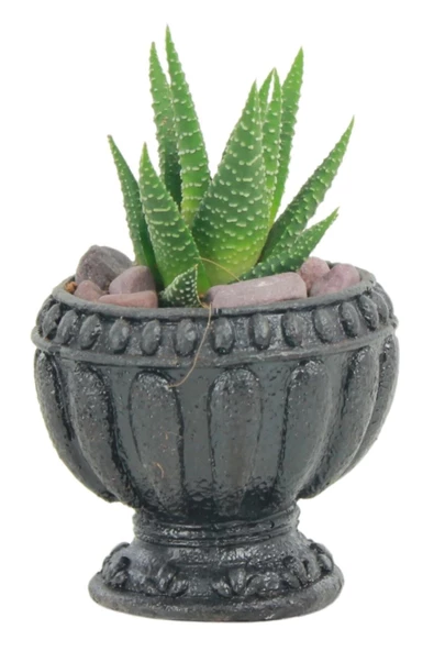 Evene Mini Çiçek Saksı Küçük Sukulent Siyah Kaktüs Saksısı Antika Model ürün görseli 1