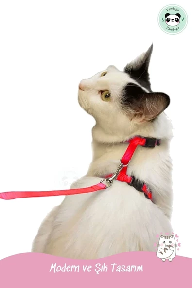 Pandogo Kedi Gezdirme Tasması Sevk Kayışlı Kırmızı - Resim 7