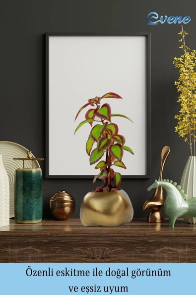 Evene Saksı Çiçek Kaktüs Saksısı Lüx 14 Cm Altın Eskitme Varak Boyalı Elips Desenli 3'lü Set Çiçeklik - Resim 8