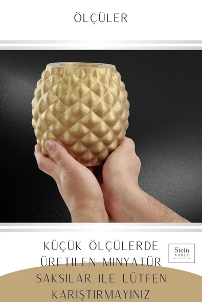 Stein Kohle Çiçek Saksısı Büyük Boy 2 Adet Altın Renk Uygulamalı Ananas Model - Resim 3