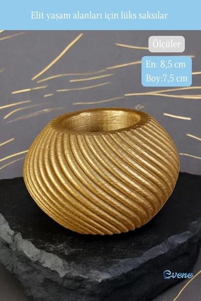 Evene Mini Çiçek Saksı Küçük Sukulent Altın Kaktüs Saksısı Ince Çizgili Spiral Model - Resim 2