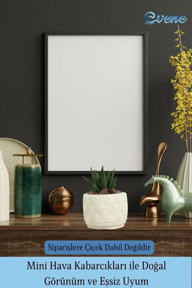 Evene Mini Çiçek Saksı Küçük Sukulent Beyaz Kaktüs Saksısı Altıgen Desenli Model - Resim 6