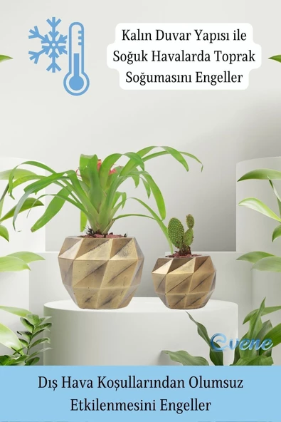 Evene Saksı Çiçek Kaktüs Saksısı Lüx 15 Cm Altın Eskitme Varak Boyalı Burgulu Desen Saksı 2li Set Çiçeklik - Resim 7