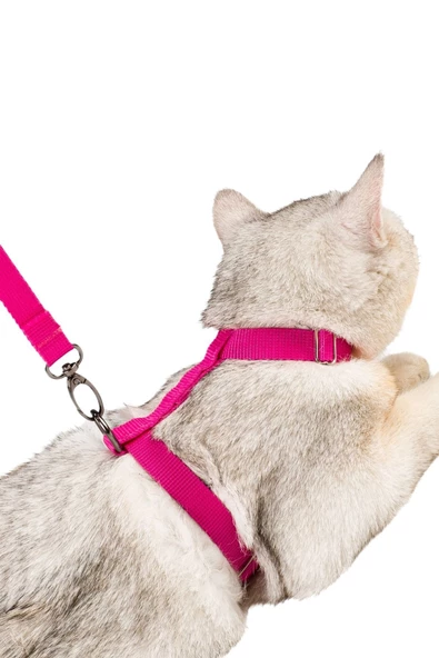 Evene Kedi Tasması Kedi Gögüs Bel Ayarlanabilir Tasma Pembe ürün görseli