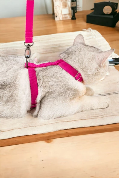 Viselia Kedi Tasması Boyun Göğüs Ayarlanabilir Sevk Kayışlı Gezdirme Seti - 1