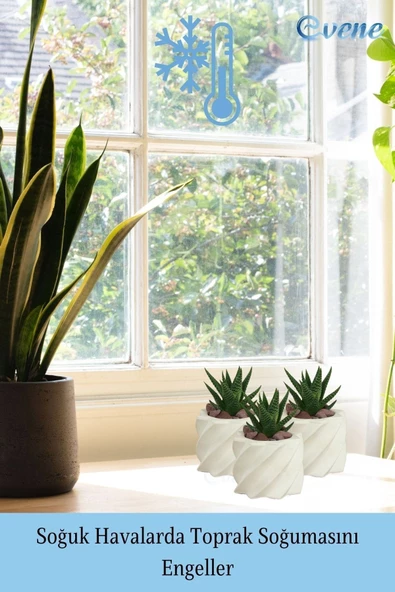 Evene Mini Çiçek Saksı Küçük Sukulent Beyaz Kaktüs Saksısı Kalın Çizgili Yıldız Model - Resim 5