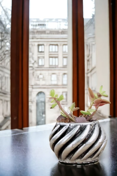 Viselia Kaktüs Saksısı Sukulent El Yapımı Saksı Balkon Çiçek Saksısı Ev Saksısı Saksı Model 4 Gümüş - Resim 5