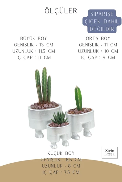 Stein Kohle Çiçek Saksısı Büyük Boy 3 Adet Gümüş Renk Uygulamalı Pantolon Model - 2