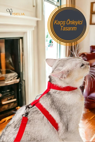 Viselia Kedi Tasması Boyun Göğüs Ayarlanabilir Sevk Kayışlı Gezdirme Seti - Resim 5