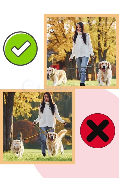 Evene Kedi Gezdirme Tasması Kedi Gezdirme Ipi Çiftli Tasma Model 9 Kırmızı - 6